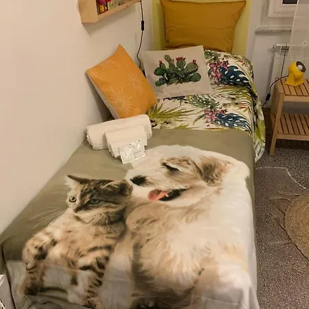 Casa Ivo Apartment *